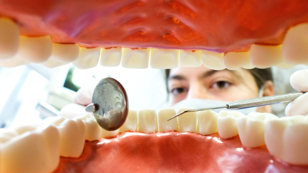 Statistik: Mehr als jeder Vierte geht nicht zum Zahnarzt