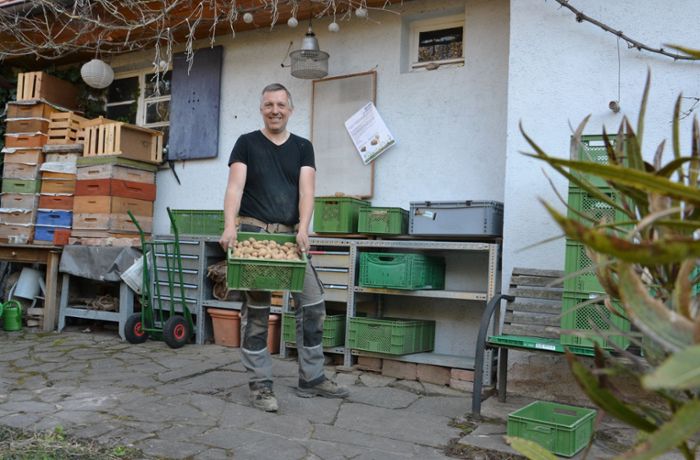 Ökologische Landwirtschaft in Möhringen: Direkt vom Acker statt aus dem Supermarkt