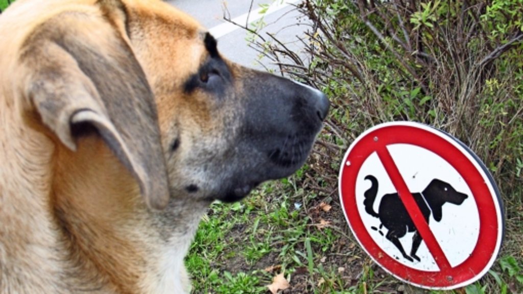 Leonberg: Hundekot-Stationen   bald auch in der City