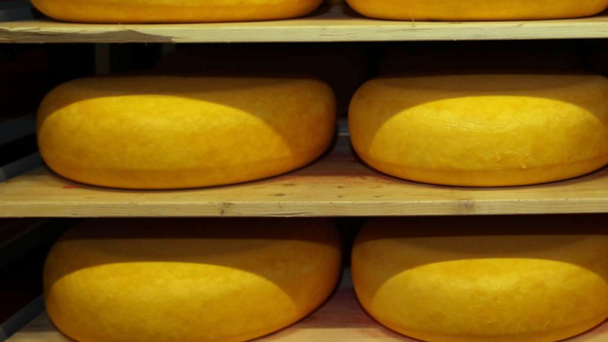 Lebensmittelwarnung für Baden-Württemberg: Listerien in Käse im Südwesten gefunden
