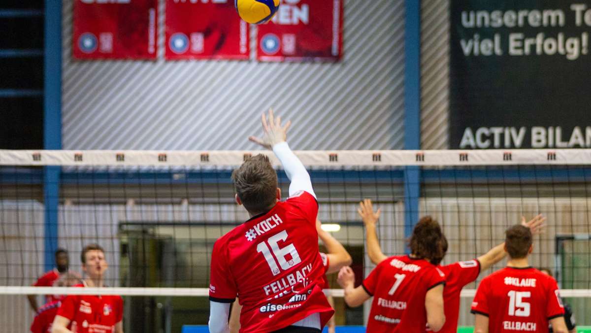 Volleyball: SV Fellbach: Aufschwung   im  Abstiegskampf
