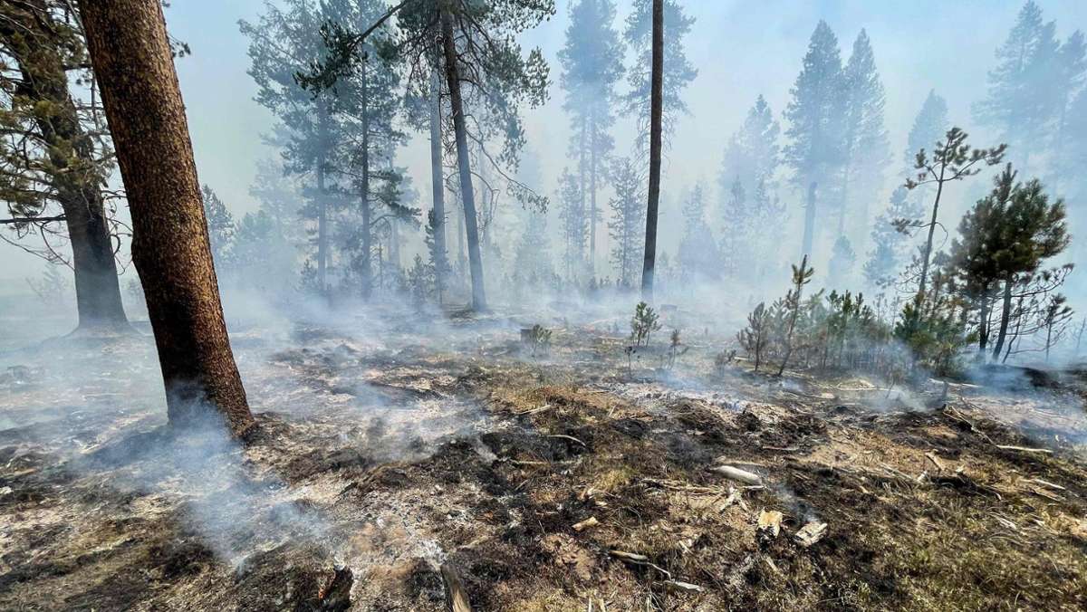  Der riesige Waldbrand im westlichen US-Bundesstaat Oregon breitet sich weiter aus. Bis Sonntag verwüstete das sogenannte Bootleg-Feuer eine Fläche von rund 117000 Hektar. 