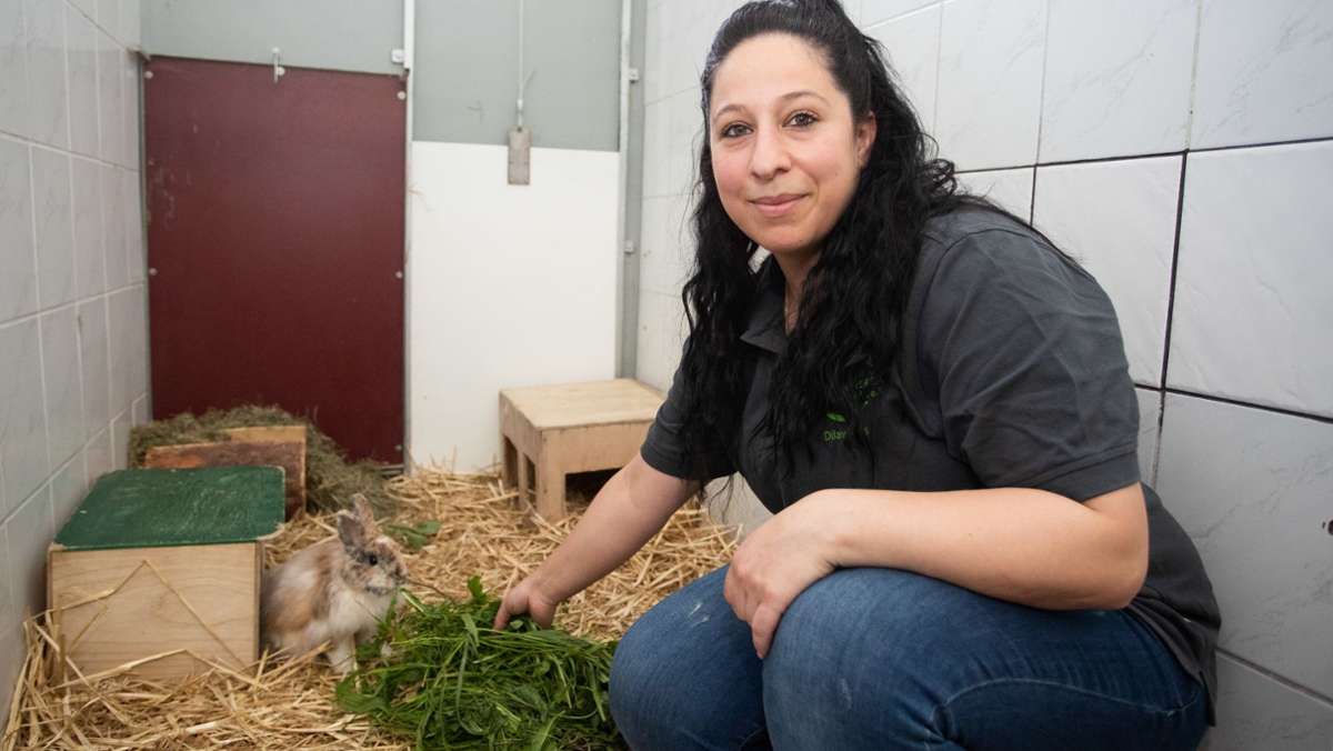 Tierheim Esslingen: Knuddeln nicht immer erwünscht