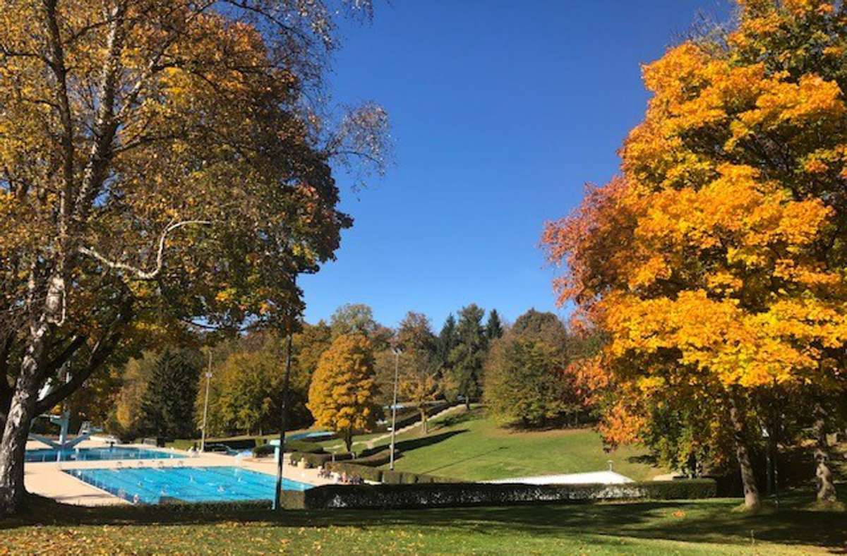 Ein eher ungewöhnlicher Anblick: Das Freibad mit buntem Herbstlaub.