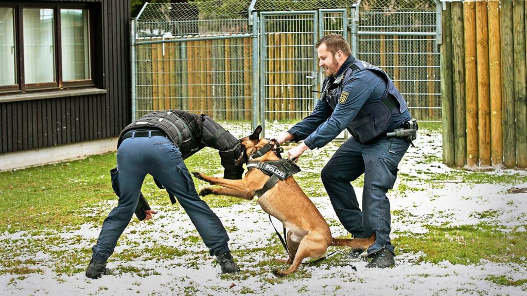 Polizeihundestaffel in Nürtingen: Die Ordnungshüter auf vier Pfoten