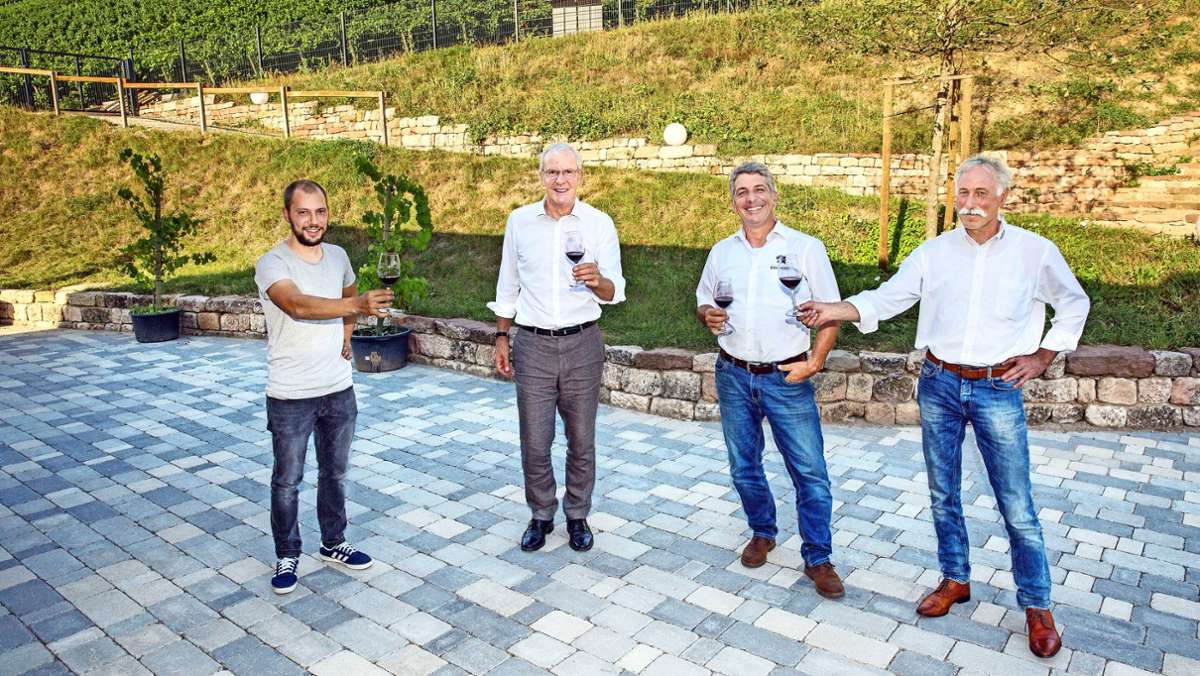 Weinbau in Esslingen: Steilhänge geraten in Schieflage