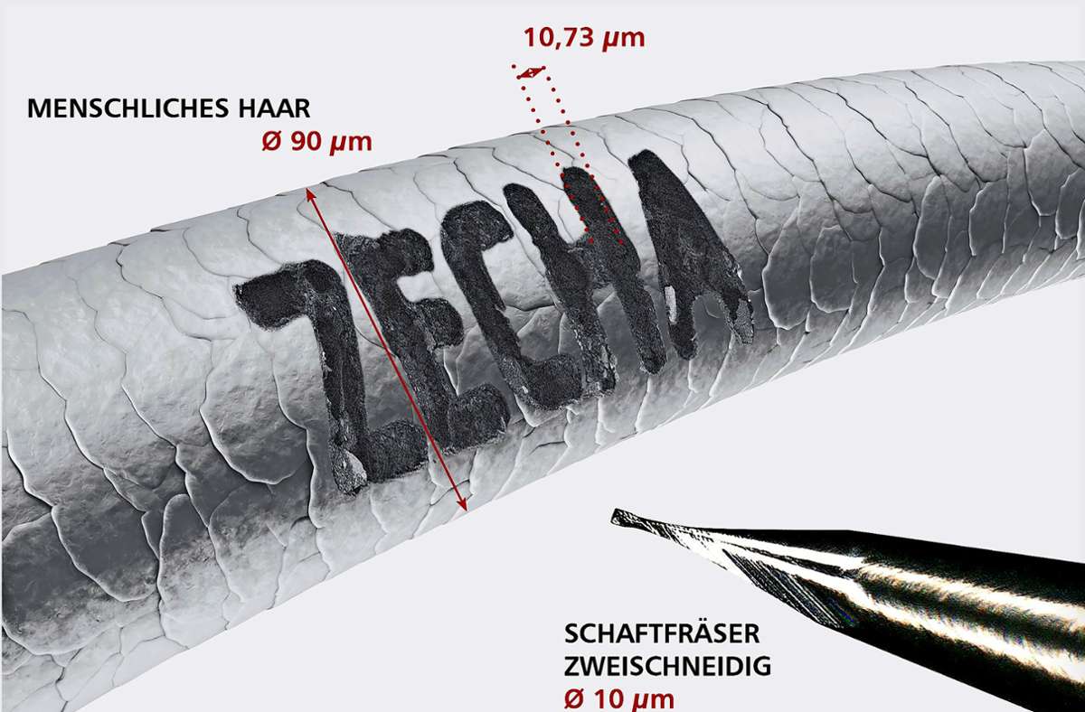 Wie klein die Werkzeuge des Preisträgers Zecha aus Königsbach-Stein sind, zeigt der eingravierte Firmenname in einem menschlichen Haar. Foto: Fotos: Zecha GmbH/Stefanie Morlok Fotografie