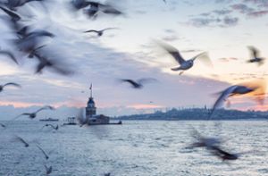 Ankara schließt Bosporus und Dardanellen für Kriegsschiffe