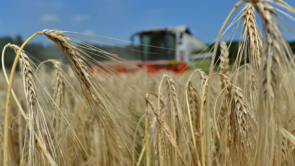 Ernte in Baden-Württemberg: Bauern brauchen Hilfe gegen Wetterrisiken