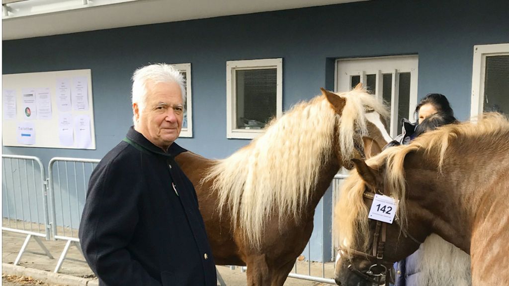 Leonberger Pferdemarkt: Bei den Siegerstuten stimmt einfach alles