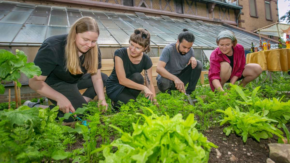 Urban Gardening in Esslingen: Kulturaustausch beim Salat vom Stadtacker