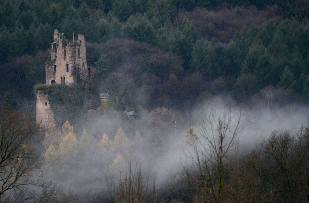Rheinland-Pfalz, Kordel: Nebel zieht durch das Waldgebiet um die Burgruine Ramstein.