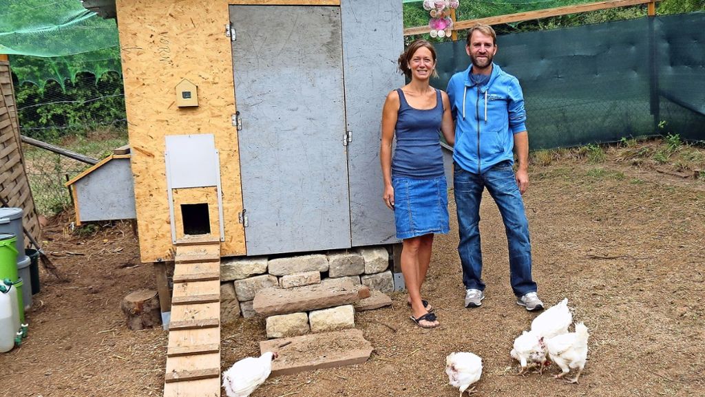 Aufruhr in Stuttgart-Degerloch: Zerrupfte Hühner wecken Mitleid