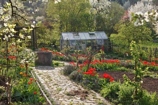 Die schönsten Urban-Gardening-Spots im Kessel VHS Stuttgart