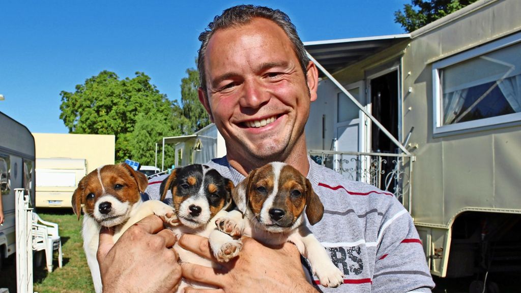 Hundewelpe in Filderstadt: Kurioser Entführungsfall geht glücklich aus