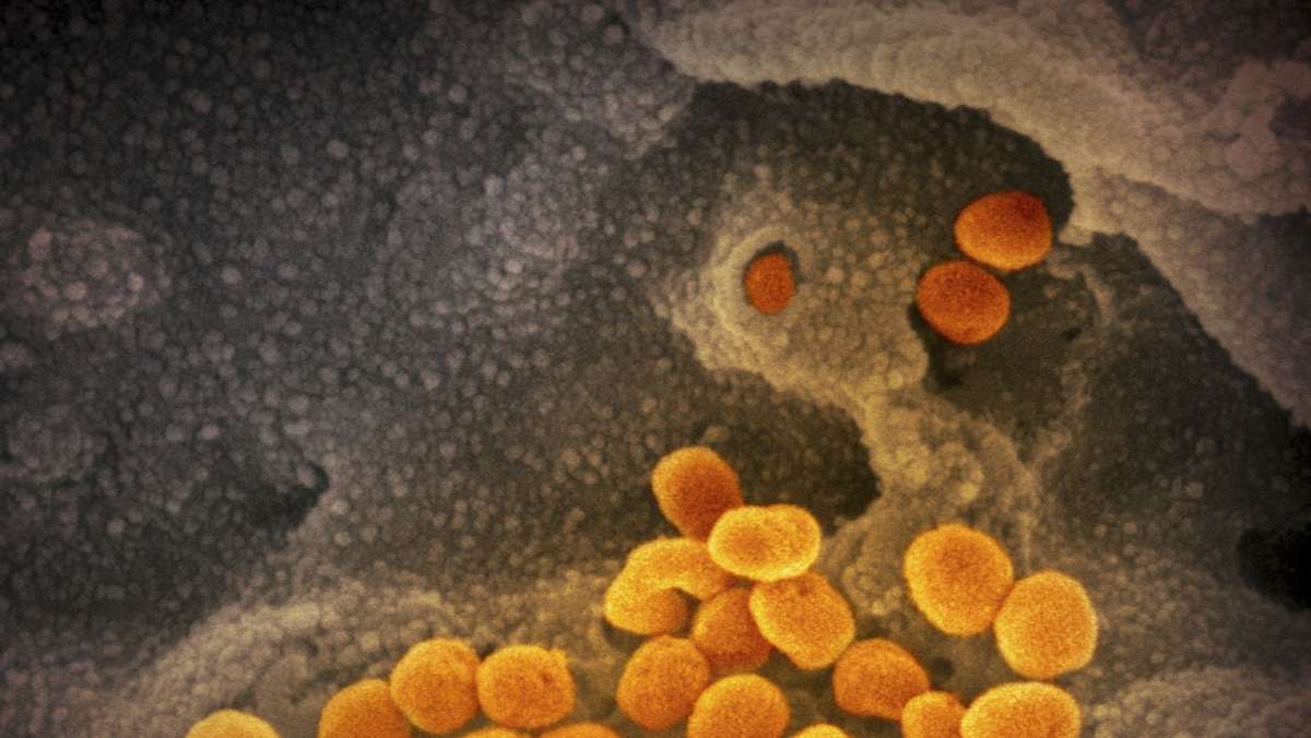 Neue Variante des Coronavirus: Die wichtigsten Fragen und Antworten