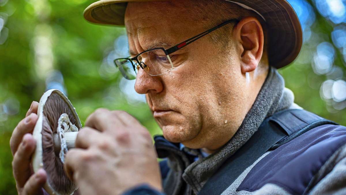 Bei der Suche im Wald: Der Profi hat Respekt vor Giftpilzen