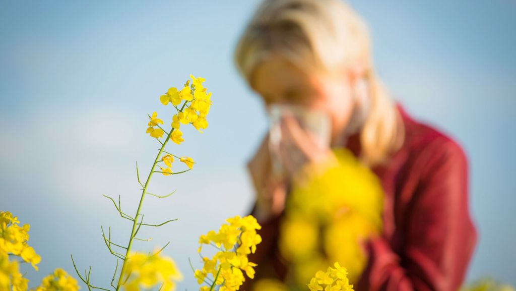 Feinstaubmessung in Stuttgart: Pleiten, Pech und Pollen