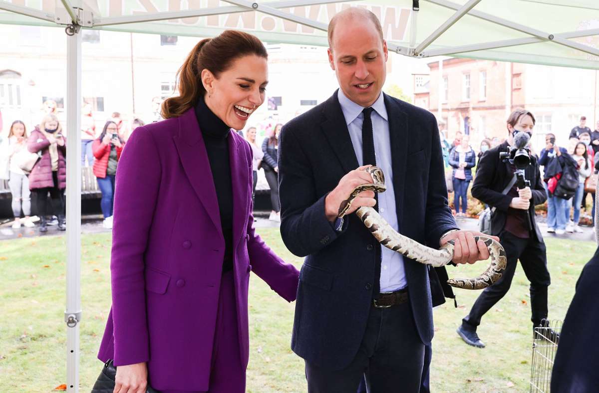 Kate und William machten die Bekanntschaft einer Schlange, ...
