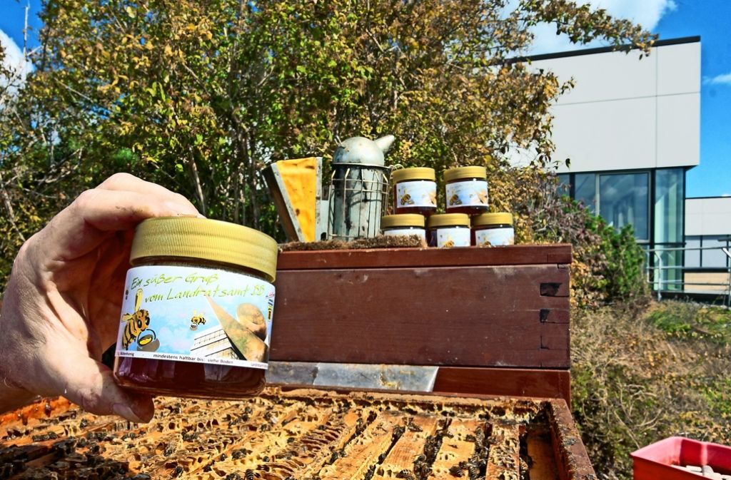 Für die Bienen ist die Arbeit dieses Jahres erledigt. Die Völker dünnen aus und bereiten sich auf die Winterruhe vor. Foto: factum/Granville