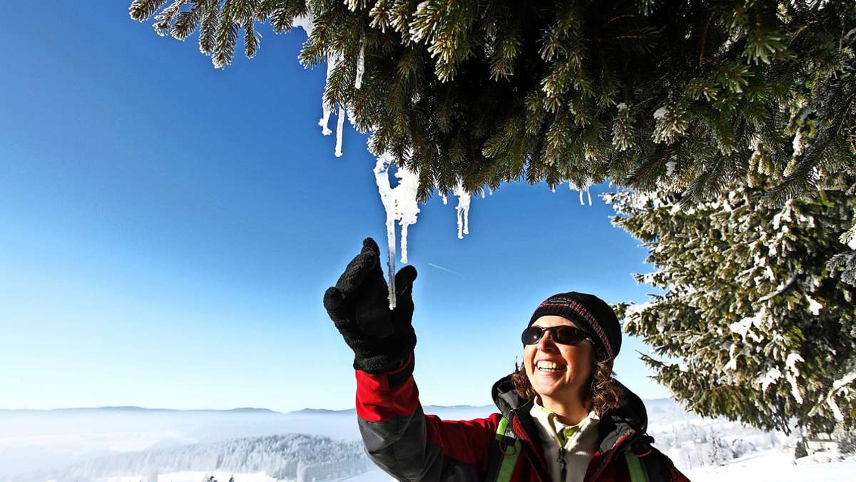 Die 10 schönsten Winterwanderwege  im Hochschwarzwald: Premiumwandern im Schnee