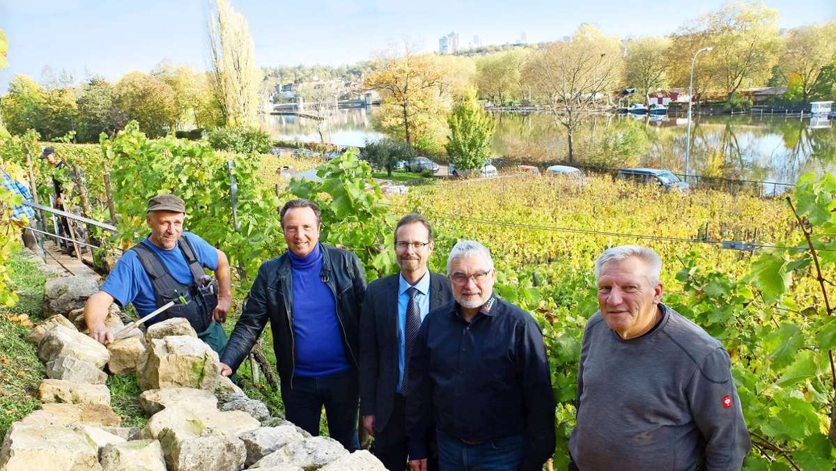 Steillagen in Stuttgart: Mauerbau ohne Mörtel in steiler Höhe
