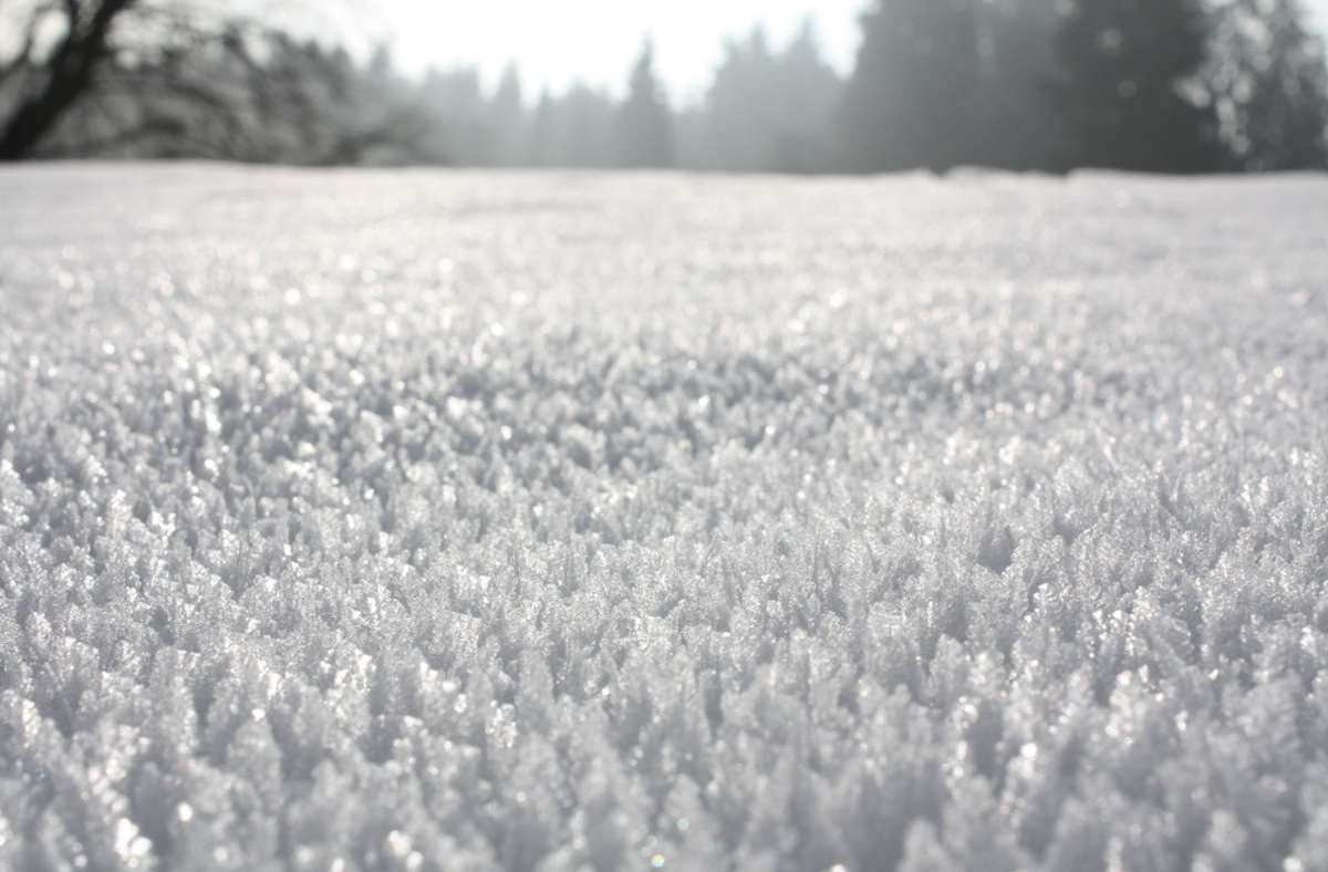So entsteht Schnee: Es fängt mit kleinen, unterkühlten Wassertropfen an, die in den Wolken zu Eiskristallen gefrieren. Daran lagert sich Wasserdampf ab und die Kristalle beginnen zu wachsen.