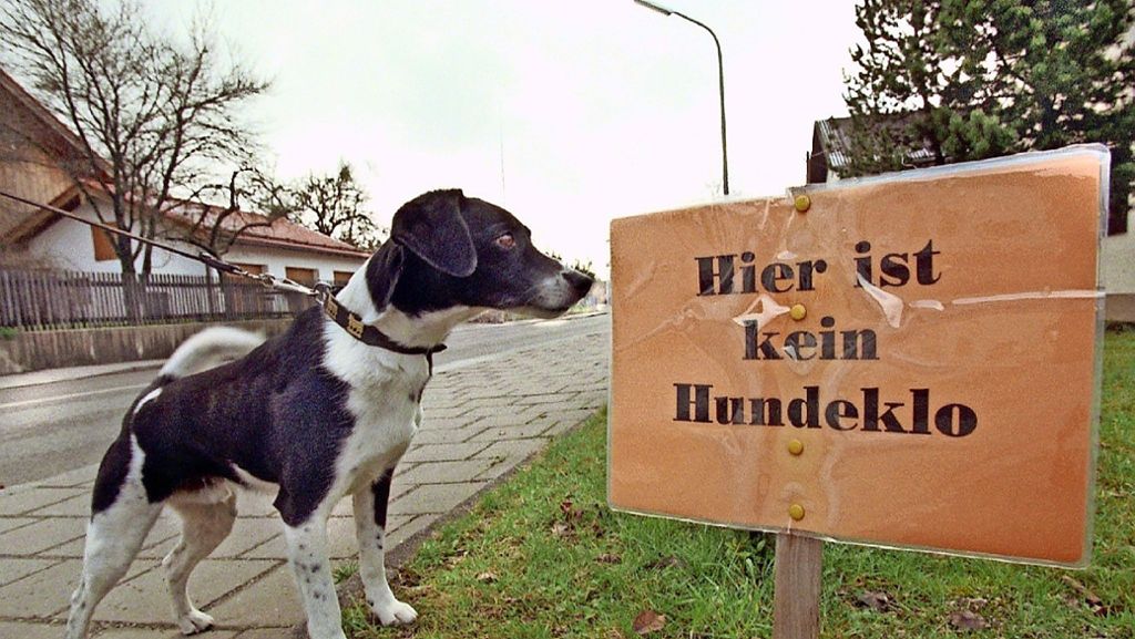 Stuttgart-Vaihingen: Der Schrannenplatz ist ein Hundeklo