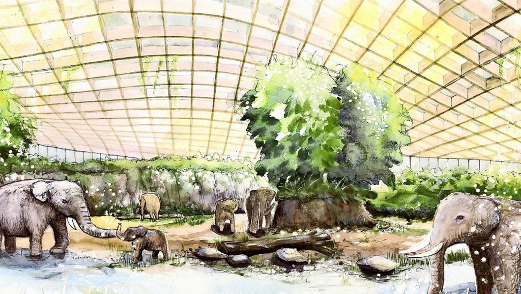 Wilhelma in Bad Cannstatt: Die Elefantenwelt wird frühestens 2025 fertig