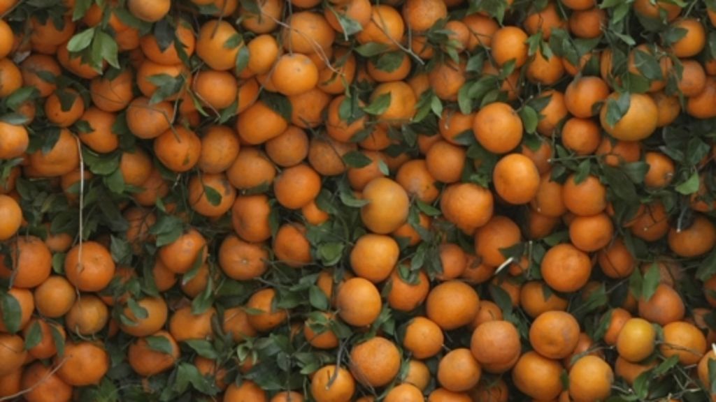 Bei Polizeikontrolle beschlagnahmt: Orangen für den guten Zweck