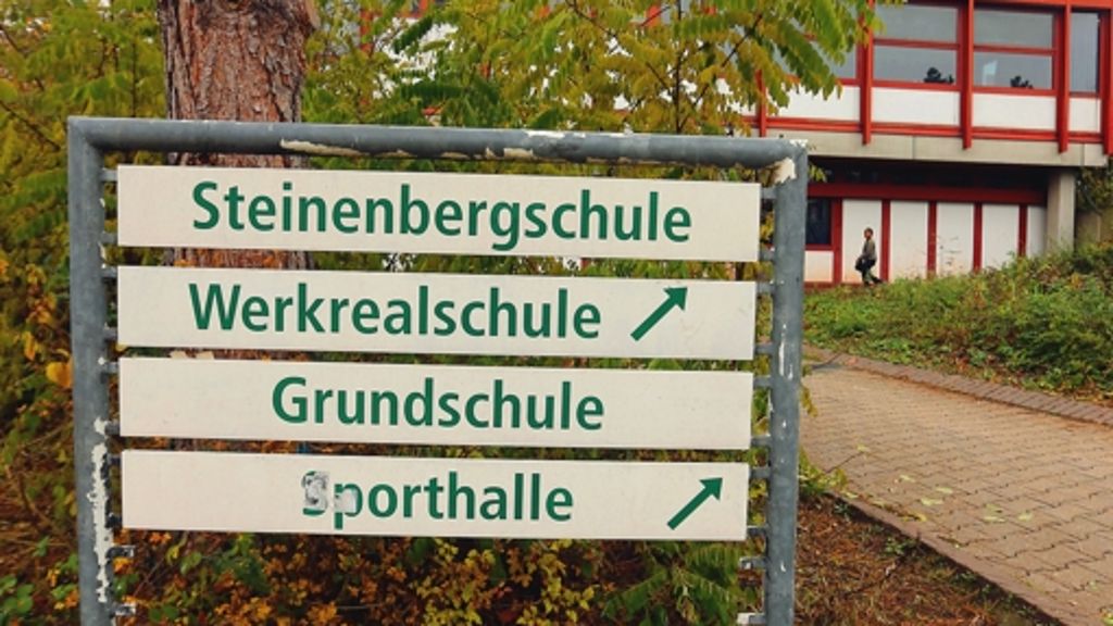 Schulleiter  vermisst pädagogisches Konzept: Steinenbergschule lehnt Gymnasium ab