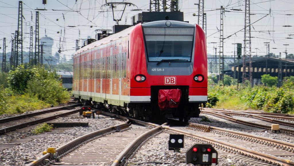 Unglück in Collenberg: Regionalzug überrollt 40 Schafe