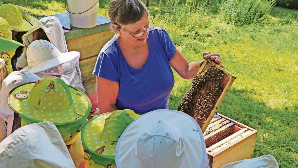 Stuttgart-Feuerbach: Besuch bei den Bienen: Ein summendes Klassenzimmer