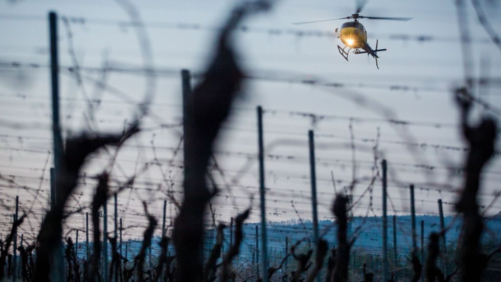 Baden-Württemberg: Hubschrauberflüge sollen Weinreben wärmen