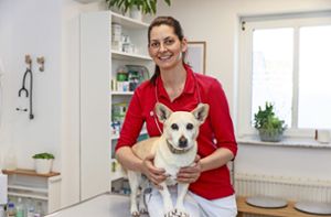Tierarztpraxis kümmert sich um ukrainische Vierbeiner