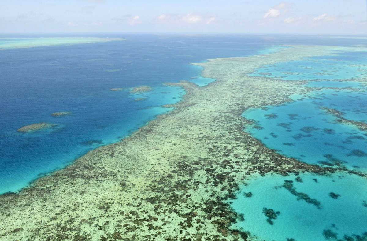 MEERE: Selbst wenn das 1,5-Grad-Ziel des Pariser Klimaabkommens erreicht wird, rechnen die Experten mit dem Absterben von 70 bis 90 Prozent der Korallenriffe, die Lebensraum für viele Arten sind (Bild: Great Barrier Riff in Australien).
