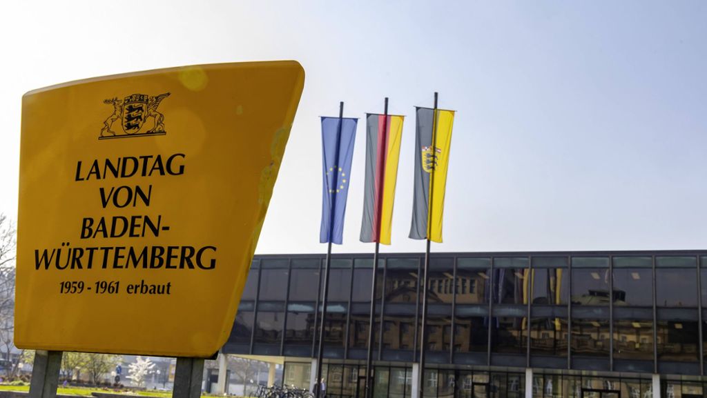 Landtag Baden-Württemberg hat Corona-frei: Politiker geben Tipps gegen die Langeweile