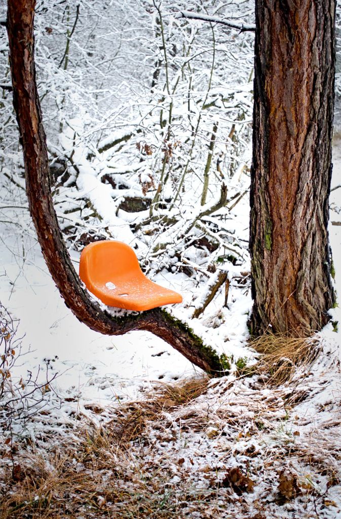 Freudvolle Architektur war Motto des Wettbewerbs. Dirk Härle zeigt amüsante Alltagsbilder – etwa eine Plastiksitzschale im Winterwald, die sich in einen wie dafür gemachten, gebogenen Baumstamm schmiegt.