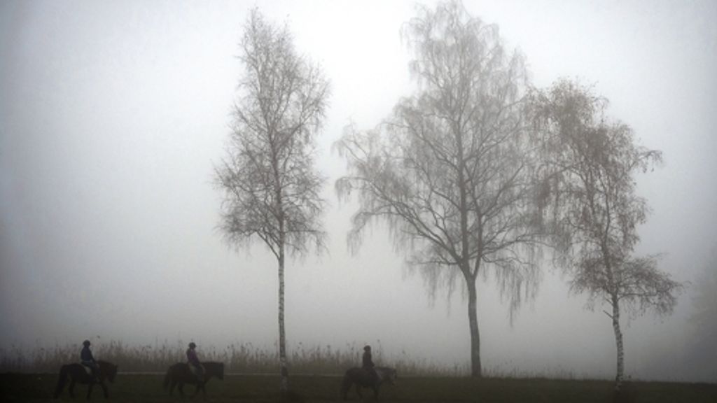 Leonberg: Auf den Nebel folgt der Schnee