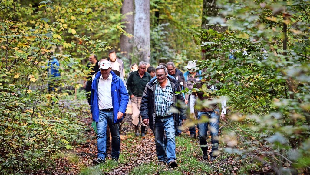 Wald in Weil der Stadt: Artenschutz im Bannwald