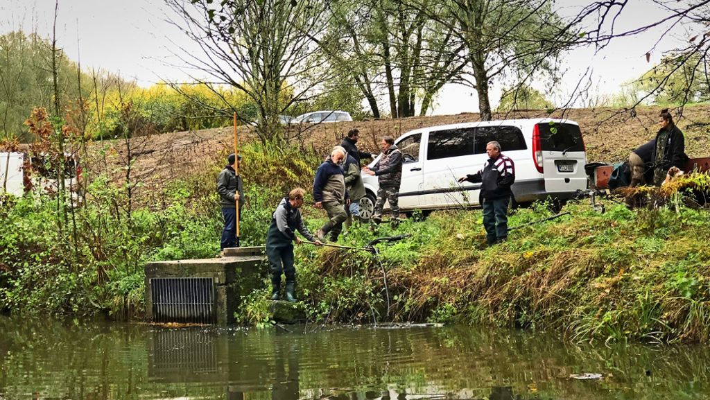 Müll in Nürtingen: Angler ziehen Moped aus Teich