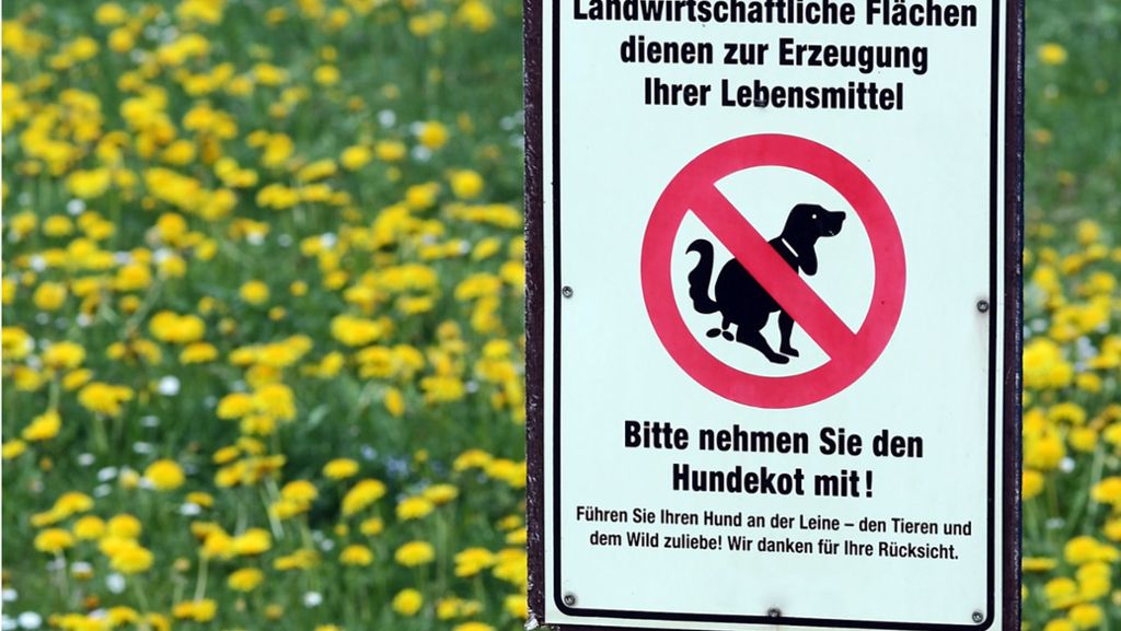 Schüsse mit Platzpatronen bei Ulm: Streit um pinkelnden Hund eskaliert