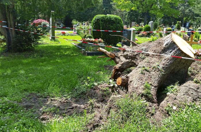 Pragfriedhof für Besucher gesperrt
