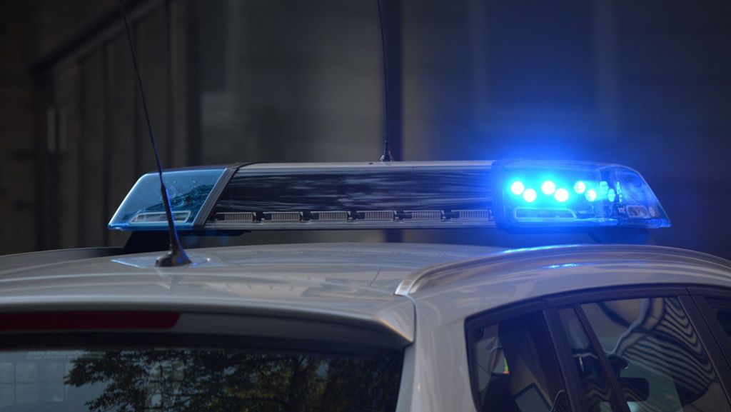 Polizeibericht aus Friolzheim: Einbrecher  macht sich an Lagerhallen zu schaffen
