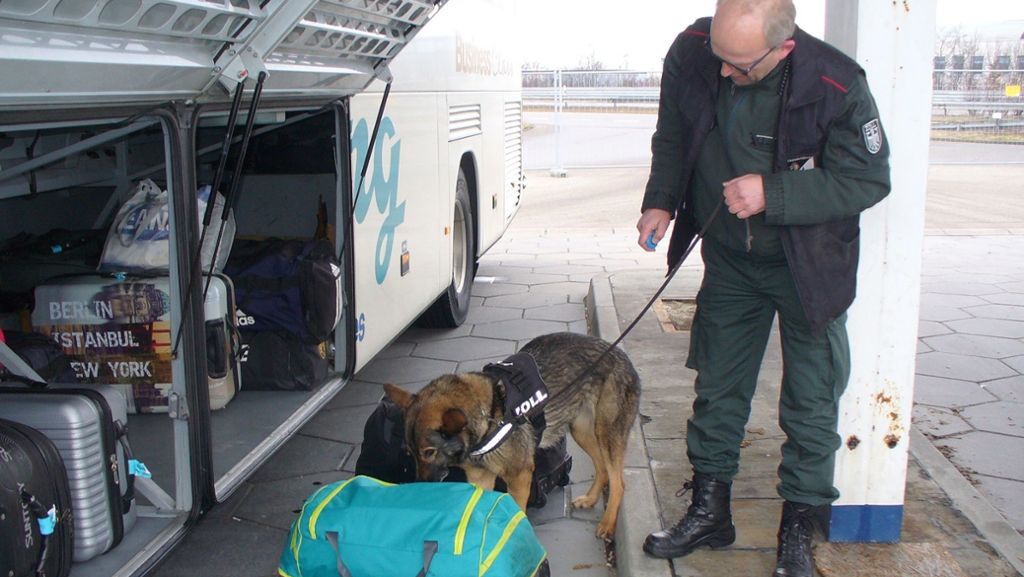  Einen dicken Fang haben Zöllner auf der A8 bei Ulm dank Drogenspürhund Vicky gemacht: Das Tier erschnüffelte im Gepäck sieben Kilogramm Kokain sowie knapp fünf Kilogramm Marihuana. 