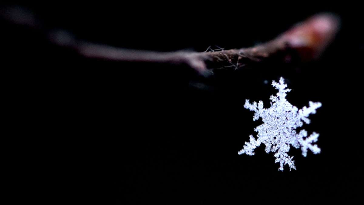 Was Schnee so besonders macht: Wunderwelt  der  Schneeflocken