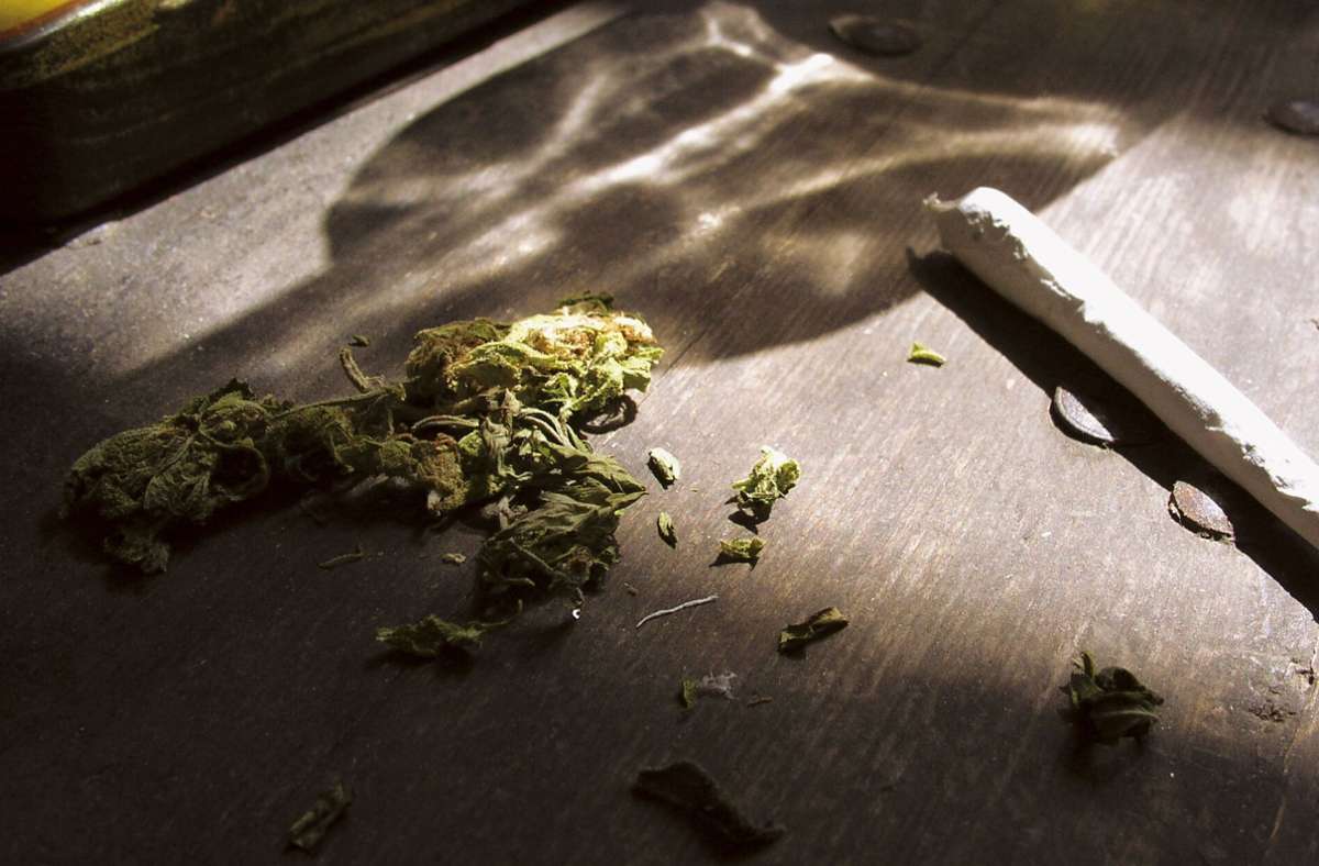 Die angeklagten Männer sollen unter anderem mit 518 Kilogramm Marihuana gehandelt haben (Symbolfoto). Foto: imago images/Shotshop/otto via www.imago-images.de