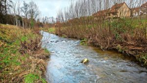 So wollen sich die Filder-Kommunen vor Hochwasser schützen