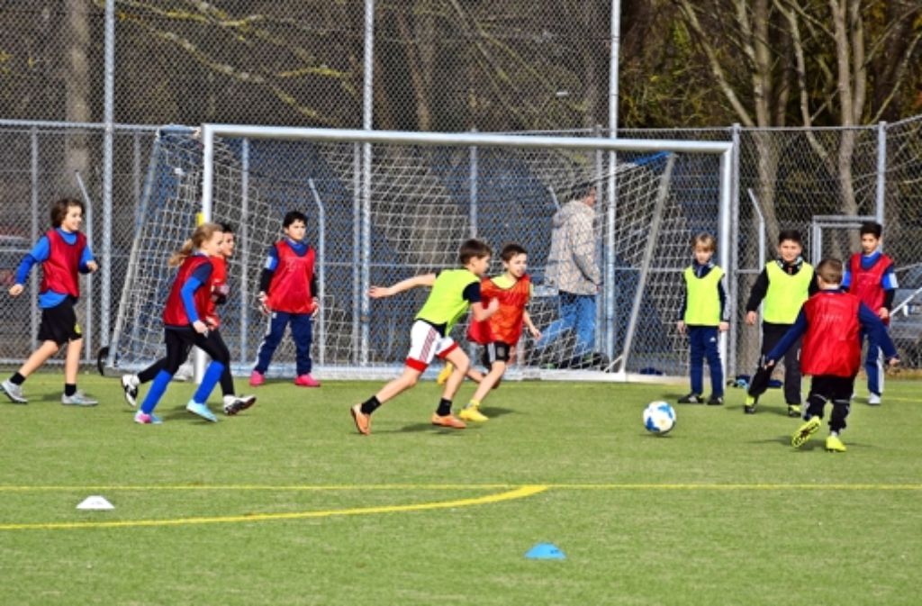 Der SV Möhringen hat derzeit 25 Jugendmannschaften. Beim Aktionstag am Samstag spielten sie zusammen mit Flüchtlingen. Foto: Kratz