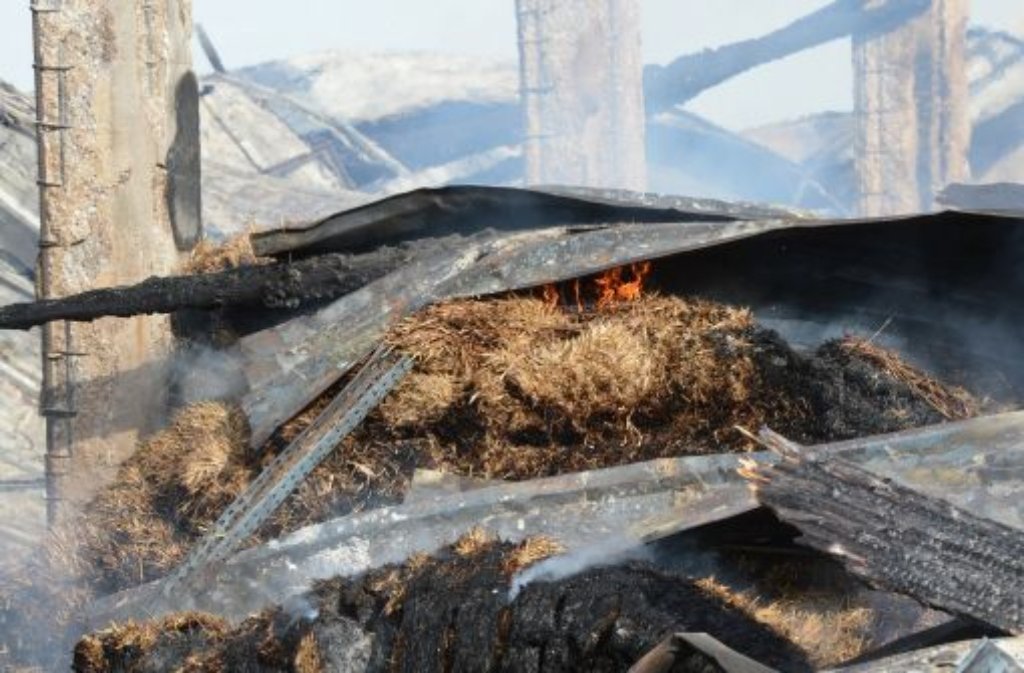 Der Kamelhof Rotfelden nach dem Feuer - nur fünf Tiere überlebten. Für den Besitzer Wilhelm Breitling eine Katastrophe.